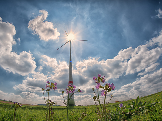 Windrad im Gegenlicht